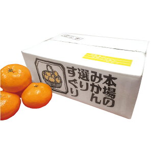 Ε t[c  [J[ QY^݂ 㕥Ήsi Ε 䈥A A    ~Mtg ~ Mtg  N N