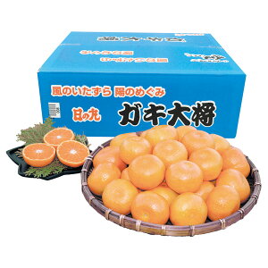 Ε t[c  [J[ QY ̊ۂ݂uKL叫v 㕥Ήsi Ε 䈥A A    ~Mtg ~ Mtg  N 