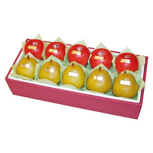 ���Ε� �t���[�c �������� ���[�J�[���� �R�`�Y���t�����X&����Y�T���ӂ��l�ߍ��� ������㕥���Ή��s�i ��Ε� �䈥�A �����A ���������� ��� ���� �~�M�t�g �~ �M�t�g ���������� ��