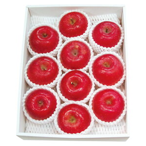 Ε t[c  [J[ XYxZT[IʃTӂ 㕥Ήsi Ε 䈥A A    ~Mtg ~ Mtg  N