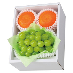 Ε t[c  [J[ VC}XJbg&g܂ǂ 㕥Ήsi Ε 䈥A A    ~Mtg ~ Mtg  N N