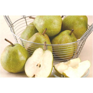 Ε t[c  [J[ R` EtX 㕥Ήsi Ε 䈥A A    ~Mtg ~ Mtg  N N