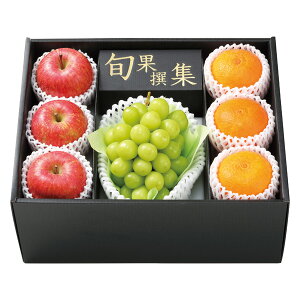 Ε t[c  [J[ VC}XJbgAӂ&g܂ǂȋl 㕥Ήsi Ε 䈥A A    ~Mtg ~ Mtg 