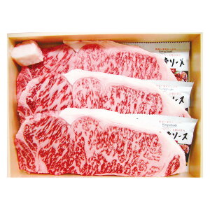 Ε   [J[ ꋍ ɌT[CXe[L 㕥Ήsi Ε 䈥A A    ~Mtg ~ Mtg  N N