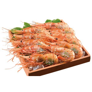 Ε Yi  [J[ kCڂ񂦂 㕥Ήsi Ε 䈥A A    ~Mtg ~ Mtg  N N