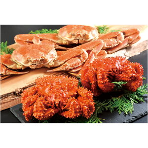 Ε I  [J[ kC2傪ɃZbg 㕥Ήsi Ε 䈥A A    ~Mtg ~ Mtg  N N