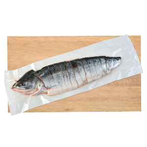 Ε TP  [J[ Hg؂g 㕥Ήsi Ε 䈥A A    ~Mtg ~ Mtg  N N