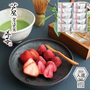 Ε Mtg ܐZʎ 10 KI-10 XC[c j j Ԃ oYj j TԂ ̂ bZ[WJ[h