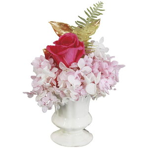  E vU[uht[ [YS[h sN AKM-035 oYj j j Cj wj lj TԂ Ԃ  蕨  