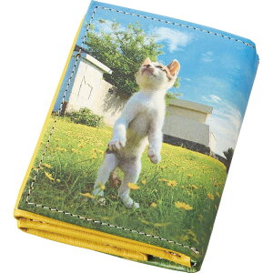  L ]̗L O܂RpNgz TW2151 ̂bZ[WJ[hsi oYj j j Cj wj lj TԂ Ԃ  