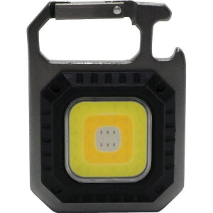 STARLIGHT LEDc[Cg SL-TL450CHSL ̂bZ[WJ[hsi hЃObY AEghA Lv ЊQ ObY ei ̑i ii mxeB