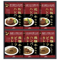 内祝い 飛騨高山ファクトリー 松阪牛・近江牛・飛騨牛仕込みハンバーグ＆カレー詰合せ HBK-40 送料無料 …