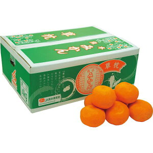  [J[ F{Y ݂ 4kg 㕥Ήsi t[c  ʕ j Ԃ oYj j TԂ   蕨 v[g