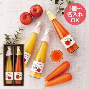 Mtg 1薼 MBYW[X2{() j2 [10~12(yj) ʏ`100  hN oYj j̎q ̎q Ԃ oY j