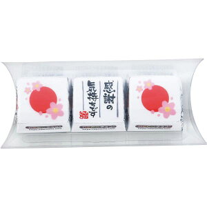 y2025NViz v`Mtg DECO`R 3NAP[XZbg(~N)() ̂bZ[WJ[hsi oYj j j Cj wj TԂ Ԃ  