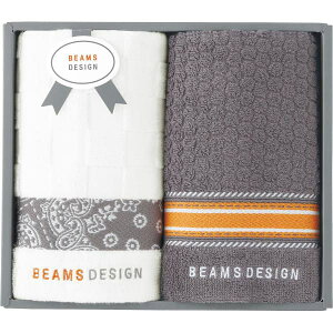 BEAMS DESIGN r[XfUC `FbJ[o_i tFCX^I2Zbg O[ 51-3139200 oYj j j Cj wj lj TԂ Ԃ  蕨 