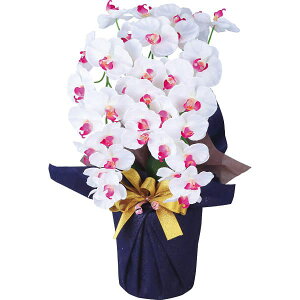  A[eBtBVt[  3{Ӓ zCgr[eB[ ncr-24019-3-wb oYj j j Cj wj lj TԂ Ԃ  蕨 