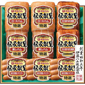  [J[ ɓn `Mtg FSV-100 㕥Ήsi j Ԃ oYj j wj TԂ