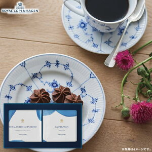 y2025NViz C Ryn[Q hbvR[q[Zbg RC15 oYj j j Cj wj TԂ Ԃ  蕨  ei ii