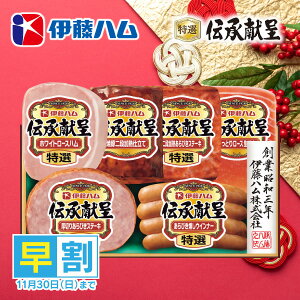 Ε  n  [J[ ɓn `Mtg TO-51V 㕥Ήsi \11/30܂ Ε 䈥A A    ~Mtg ~ Mtg 