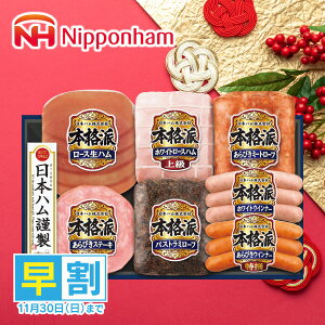 Ε  n  [J[ {n {ihMtg NH-519 㕥Ήsi \11/30܂ Ε 䈥A A    ~Mtg ~ Mtg  