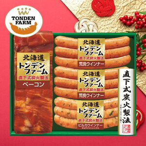 Ε O  [J[ kCgft@[ YΏ x[R\[Z[WMtg TNJ-45 㕥Ήsi Ε 䈥A A    ~Mtg ~ 