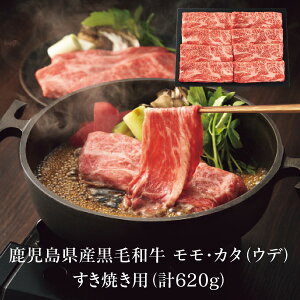 Ε   [J[ Yјa EJ^(Ef) Ăp(v620g) 㕥Ήsi Ε 䈥A A    ~Mtg ~ Mtg 