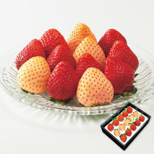 Ε t[c  [J[ g(v250g) 㕥Ήsi Ε 䈥A A    ~Mtg ~ Mtg  N N