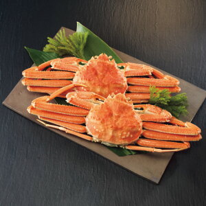 Ε I  [J[ kCY 䥂ŃIIYCKjp 㕥Ήsi Ε 䈥A A    ~Mtg ~ Mtg  N N