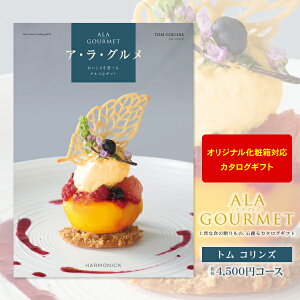 OJ^OMtg AEEO 4500~R[X y 䂤pPbgz  z MtgJ^O j uC_ oYj Ԃ  j 蕨 ii ܕi  \