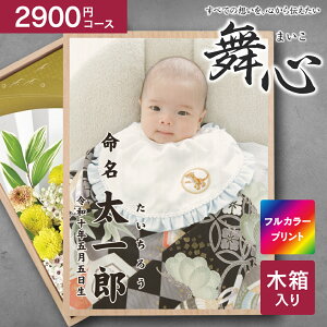  J^OMtg S - ܂ - IWivgؔ 3190~R[Xi2900~jyNlR䂤pPbgzz MtgJ^O oYj j Cj jԂ wj 