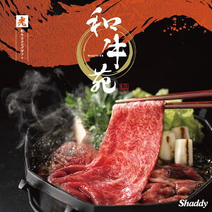 aJ^OMtg a iЂj 6000~R[Xy䂤pPbgz zO  a oYj j Ԃ 񎟉 o Cj TԂ 