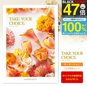 J^OMtg Take Your ChoiceJ[l[V 6490~R[Xi5900jy䂤pPbgzFzjEoYjEjEԂwj Ԃ ߋ^EbZ[WJ[h