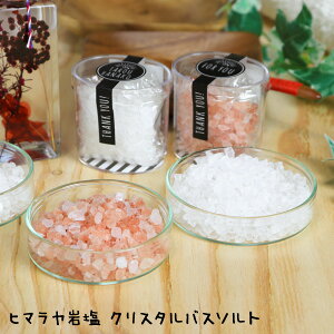yv`Mtgz1 q}≖ NX^ oX\g Crystal Bathsalt ̂bZ[WJ[hΉsi y 񎟉 EFfBO 肪Ƃ ސE p[eB[ mx