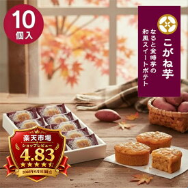 お菓子 Hitotoe ひととえ こがね芋 10個 KGB-10 送料無料 スイートポテト 内祝い 退職 和菓子 販促品 販売促進 景品 賞品 ノベルティ ご挨拶 ごあいさつ 手土産 プレゼント