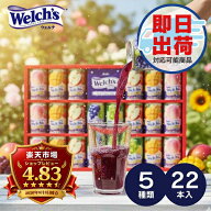 お中元 夏ギフト ジュース カルピス ウェルチ ギフト 100%果汁 22本＜WS30T＞ 送料無料 セット ジュース …