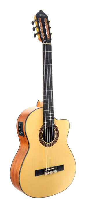 楽天市場】【送料込】【ケース付】Valencia バレンシア VC304CE 