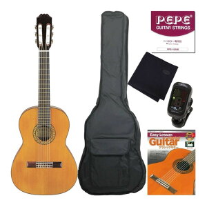 【ポイント5倍】【送料込】Aria アリア PEPE PS-53(7〜9才向)子供用初心者入門安心6点セット