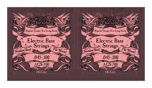 y[ցEEszAria AA AGS-700 ×2Zbg x[XOXP[EtbgEh