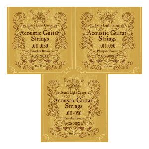 y[ցEEszARIA AA AGS-200XL ×3Zbg AR[XeBbN/tHXt@[EuY