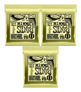 y[ցEEszERNIE BALL 2214/3Zbg [12-62] Mammoth Slinky GLM^[