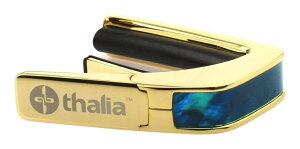 yzThalia Capos Teal Angel Wing/24K Gold ^A J| Exotic ShellV[Y M^[p J|^Xg