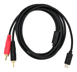 y[ցEEszTRUE DYNA TD-USB-RCA2 (2m) USB TYPE-C x RCAsvO(LR)