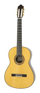 【送料込】ESTEVE 8 Spr スプルース単板トップ スペイン製 クラシックギター【ポイント5倍】