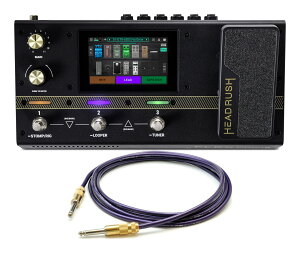 【送料込】HEADRUSH Flex Prime/OYAIDE G-SPOT CABLE付 ギターアンプ・モデラー/マルチエフェクター