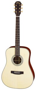 【送料込】【ケース付】ARIA アリア AD-511 N オール単板 アコースティックギター【ポイント5倍】