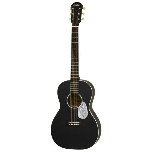 yzyP[XtzARIA AA ARIA-131M UP STBK Stained Black / Open Pore ~fBAXP[ p[[M^[ AR[XeBbNM^[y|Cg5{z