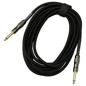 yzARIA AA ASG-20SP [6m S/S] M^[P[u V[h