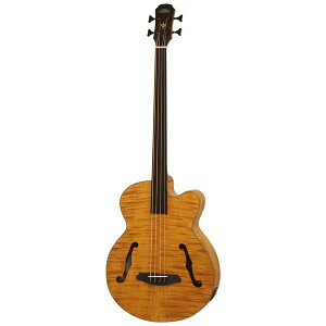 �y�������zARIA FEB-F2/FL STBR(Stained Brown) �G���N�g���b�N �A�R�[�X�e�B�b�N �t���b�g���X �x�[�X/�P�[�X�t