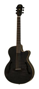 yzyP[XtzARIA AA FET-F2 STBK Stained Black GNgbNEAR[XeBbN M^[ GAR